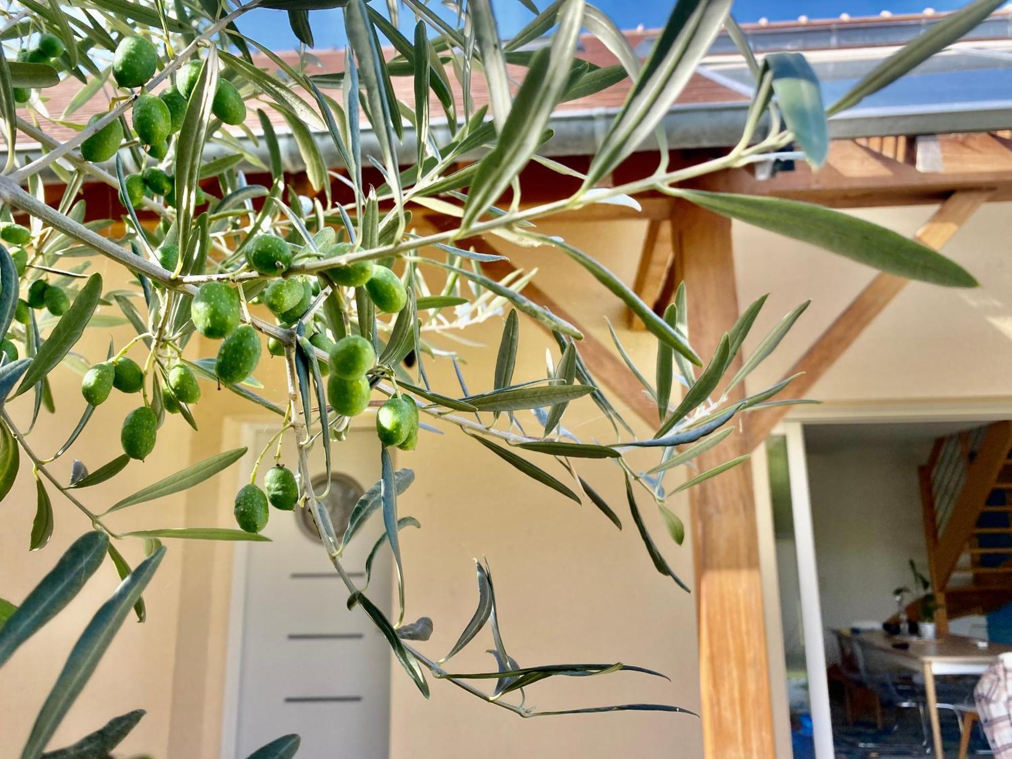 Maison Mer & Jardin Ouistreham Riva-Bella Εξωτερικό φωτογραφία